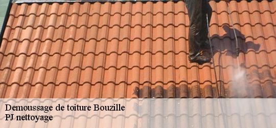 Demoussage de toiture  bouzille-49530 PJ nettoyage