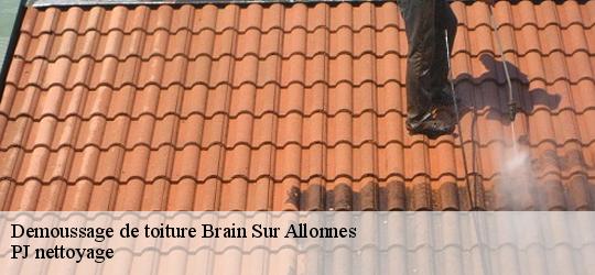 Demoussage de toiture  brain-sur-allonnes-49650 PJ nettoyage