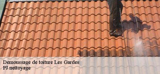 Demoussage de toiture  les-gardes-49120 PJ nettoyage