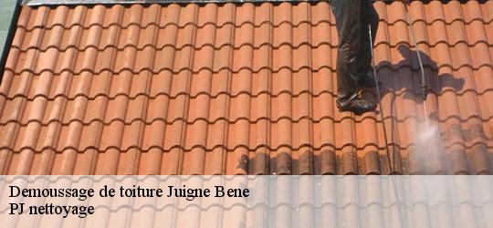 Demoussage de toiture  juigne-bene-49460 PJ nettoyage