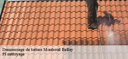 Demoussage de toiture  montreuil-bellay-49260 PJ nettoyage