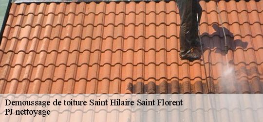 Demoussage de toiture  saint-hilaire-saint-florent-49400 PJ nettoyage