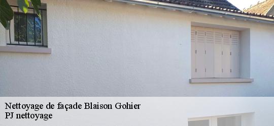 Nettoyage de façade  blaison-gohier-49320 PJ nettoyage