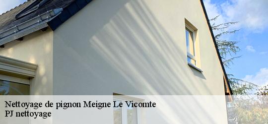 Nettoyage de pignon  meigne-le-vicomte-49490 PJ nettoyage