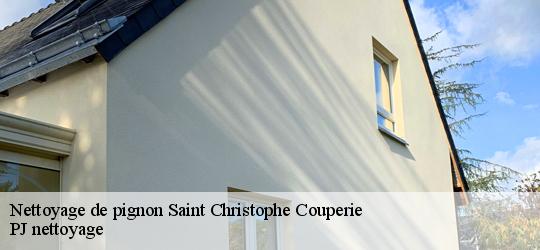 Nettoyage de pignon  saint-christophe-couperie-49270 PJ nettoyage