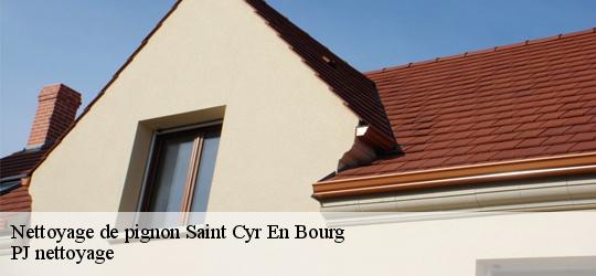 Nettoyage de pignon  saint-cyr-en-bourg-49260 PJ nettoyage