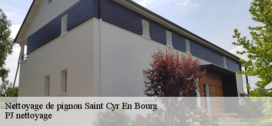 Nettoyage de pignon  saint-cyr-en-bourg-49260 PJ nettoyage