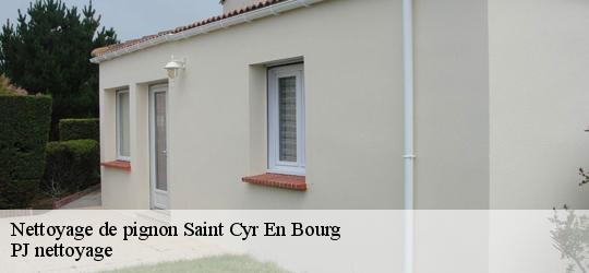 Nettoyage de pignon  saint-cyr-en-bourg-49260 PJ nettoyage