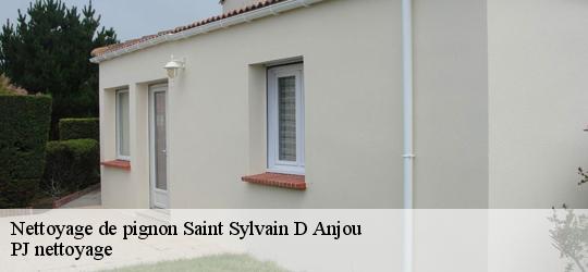 Nettoyage de pignon  saint-sylvain-d-anjou-49480 PJ nettoyage