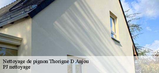 Nettoyage de pignon  thorigne-d-anjou-49220 PJ nettoyage