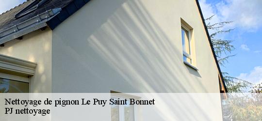 Nettoyage de pignon  le-puy-saint-bonnet-49300 PJ nettoyage