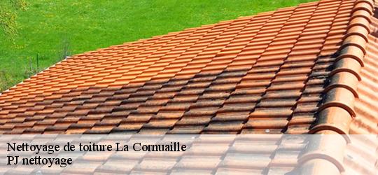 Nettoyage de toiture  la-cornuaille-49440 PJ nettoyage