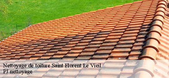 Nettoyage de toiture  saint-florent-le-vieil-49410 PJ nettoyage